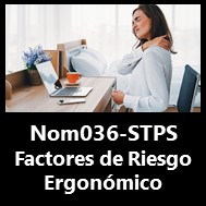 Nom036 Estudios Ergonómicos de Puestos